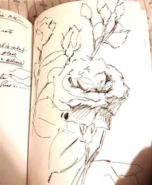 Journal roses sketch